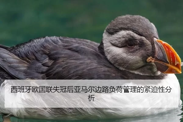 西班牙欧国联失冠后亚马尔边路负荷管理的紧迫性分析